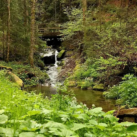 Apartamento Raczkowski Birkfeld