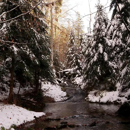 Apartament Raczkowski