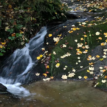 Apartamento Raczkowski *