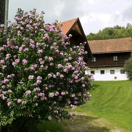 Raczkowski Appartement