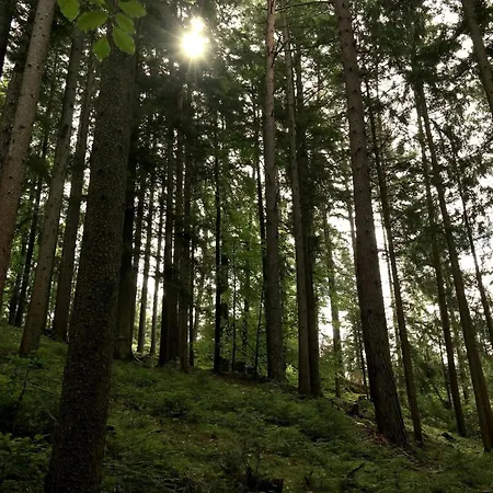 Apartamento Raczkowski *