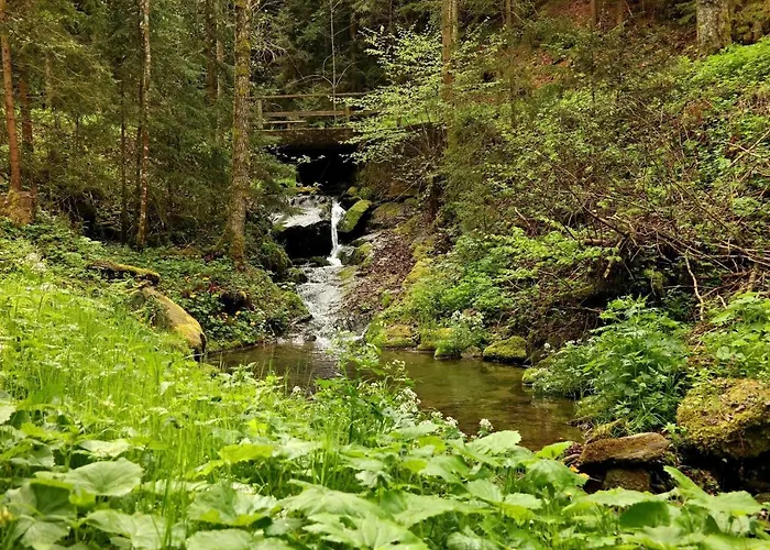 Lägenhet Raczkowski Birkfeld