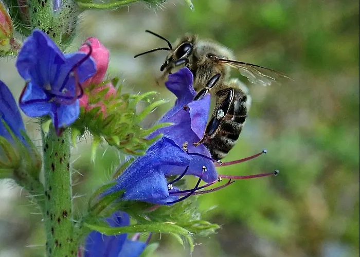 Apartment Raczkowski Birkfeld