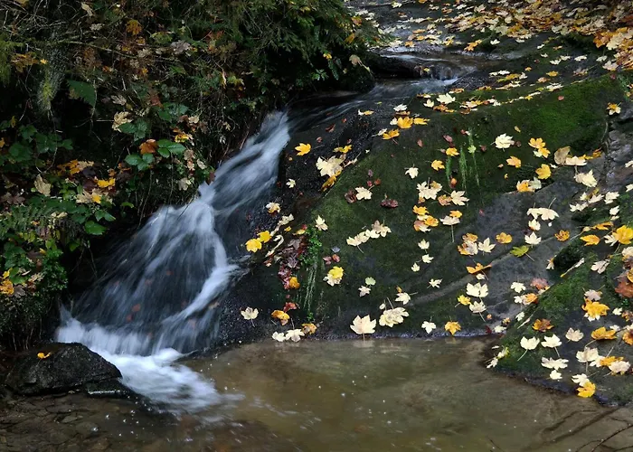 Apartment Raczkowski *