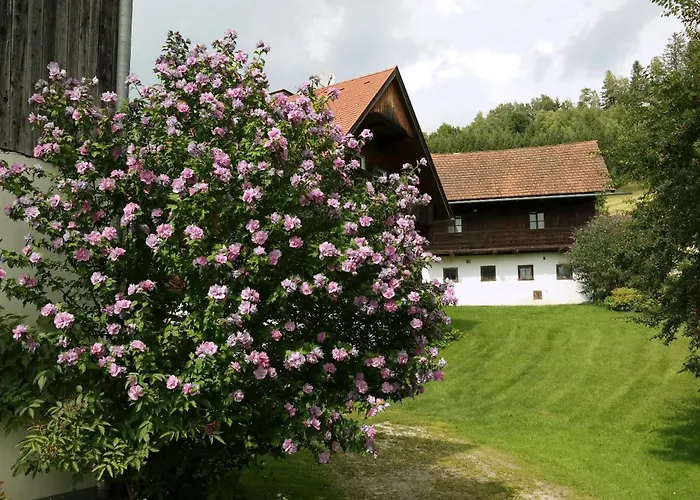 Raczkowski アパート