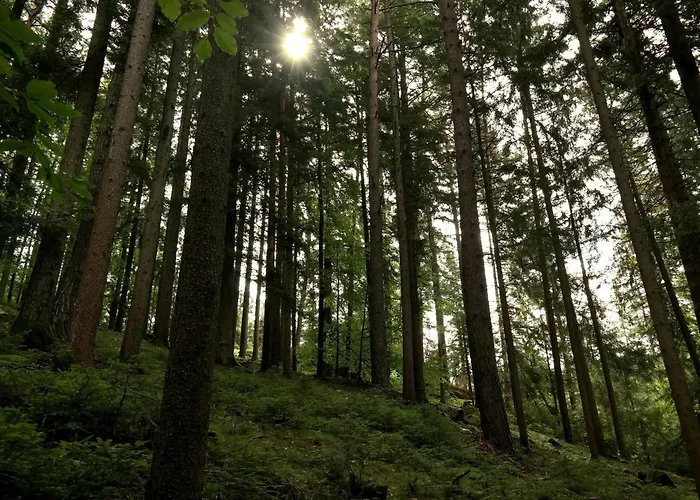 アパート Raczkowski *